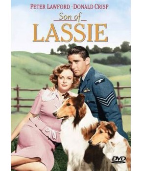 O Filho de Lassie